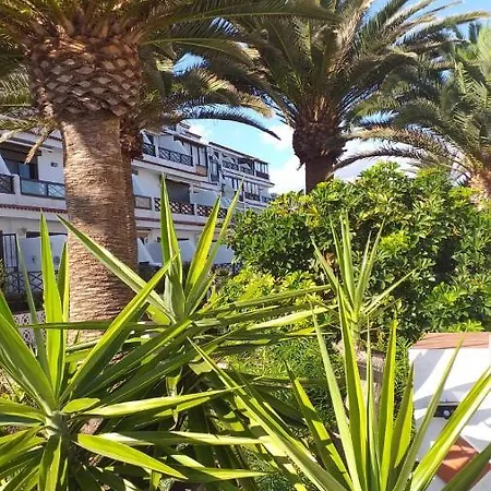 Flat * Costa del Silencio